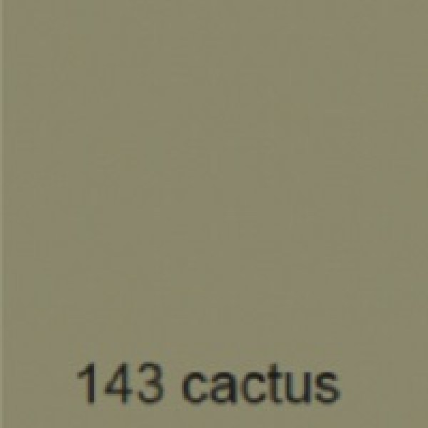 Loyra Laca brillo cactus