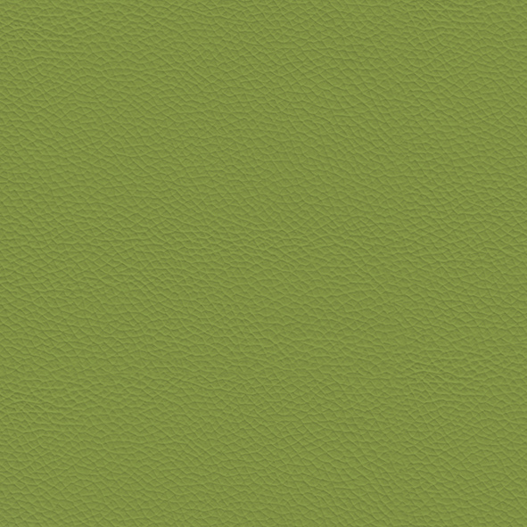Cattelan_ECP17_Verde.jpg