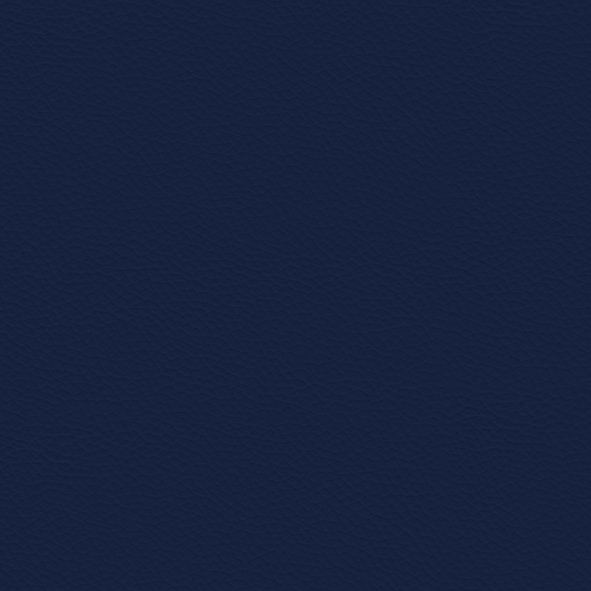 Cattelan_ECP21_Ocean.jpg