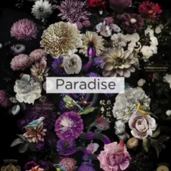 Fama tela Paradise