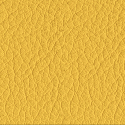 MIDJ_P0L5_Pelle_Lemon.jpg