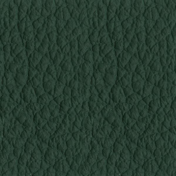 MIDJ_P0VE_Pelle_Verde.jpg