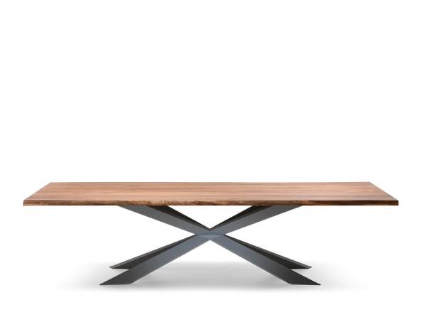 Spyder Wood Cattelan